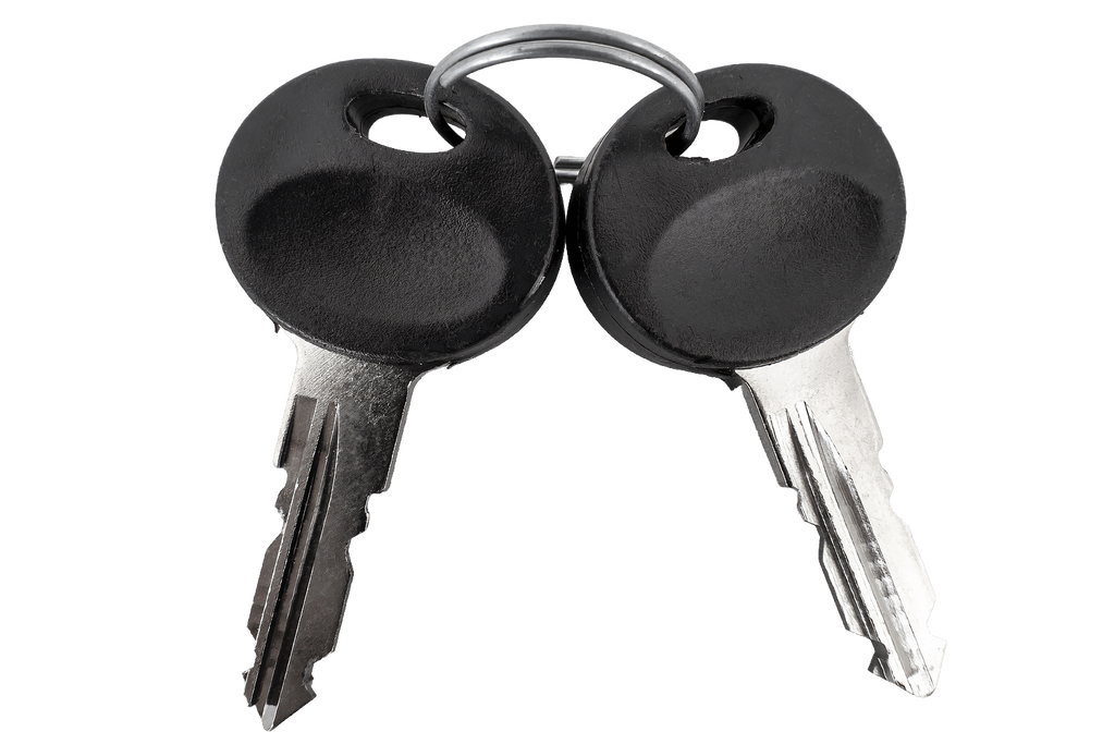 Cheie Traxer 2165 (2 buc.)